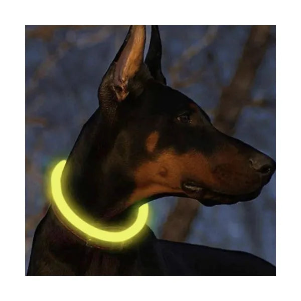 LED világító nyakörv kutyáknak és macskáknak, állítható 20–70 cm, USB-C