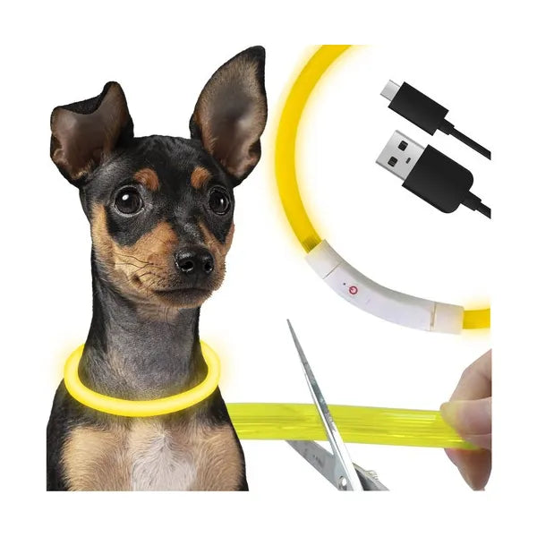 LED világító nyakörv kutyáknak és macskáknak, állítható 20–70 cm, USB-C