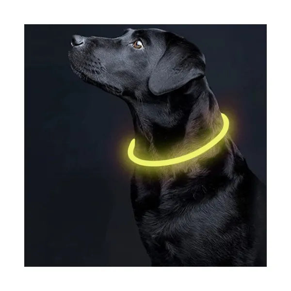 LED világító nyakörv kutyáknak és macskáknak, állítható 20–70 cm, USB-C