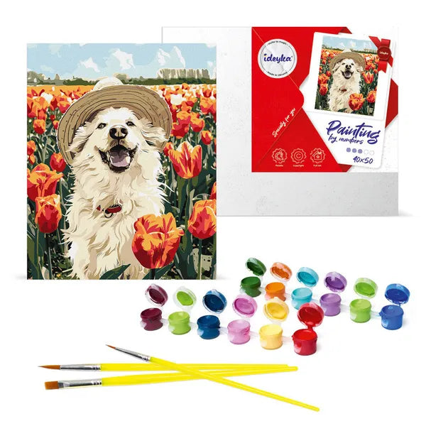 Számozott kifestő készlet – Vidám labrador, 40×50 cm, ecsetekkel