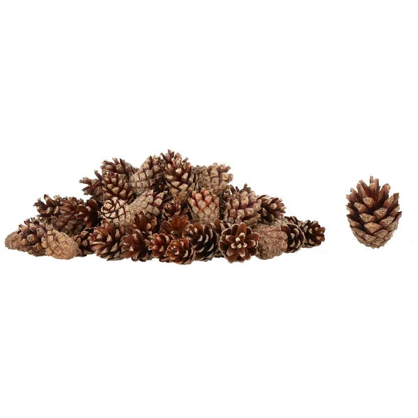 Natúr fenyőtoboz készlet dekorációhoz, 500 g, 3–6 cm