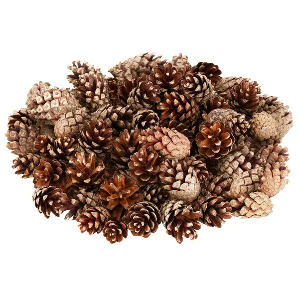 Natúr fenyőtoboz készlet dekorációhoz, 500 g, 3–6 cm