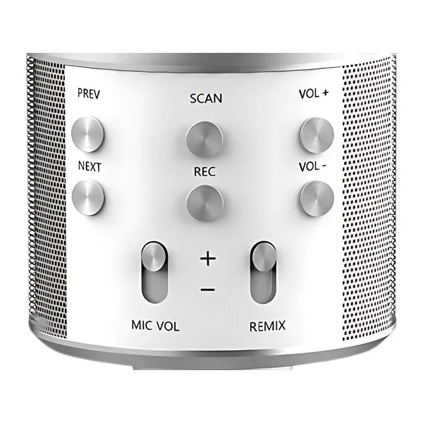 Bluetooth karaoke mikrofon hangszóró tokkal