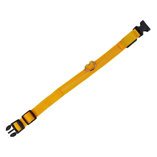 LED világító nyakörv kutyáknak és macskáknak, S (34-42 cm), sárga