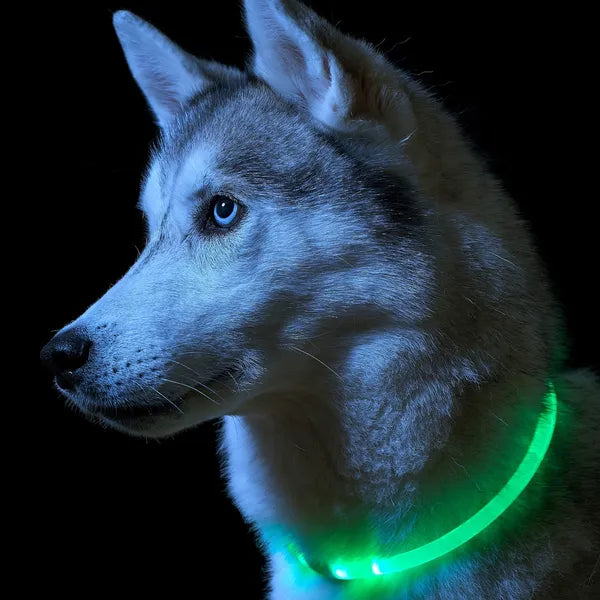 Állítható zöld LED nyakörv kutyáknak, USB-akku, L (max 70 cm)