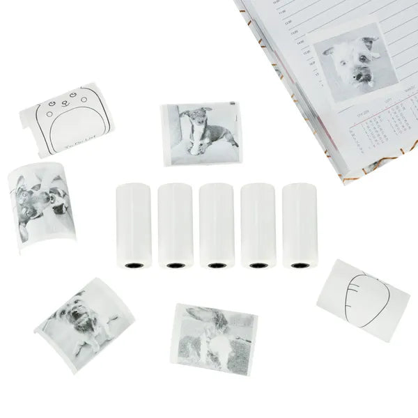 Öntapadós hőpapír tekercs mini nyomtatóhoz 5,7 cm x 4,5 m – 5 db, BPA-mentes