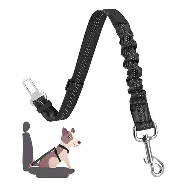 Biztonsági autós kutya póráz erős karabinerrel, 2.5 cm, fekete