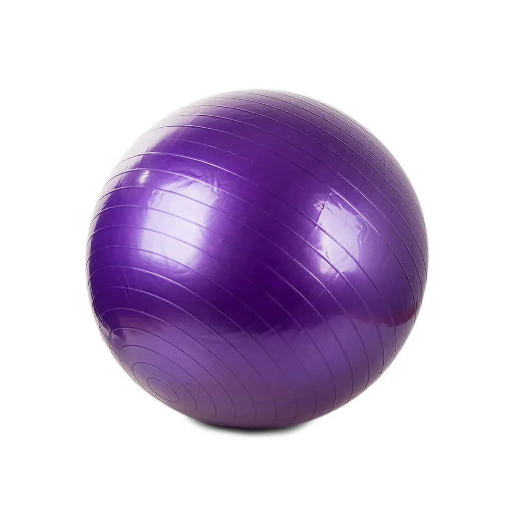Gimnasztikai rehabilitációs labda pumpával, 65cm, lila