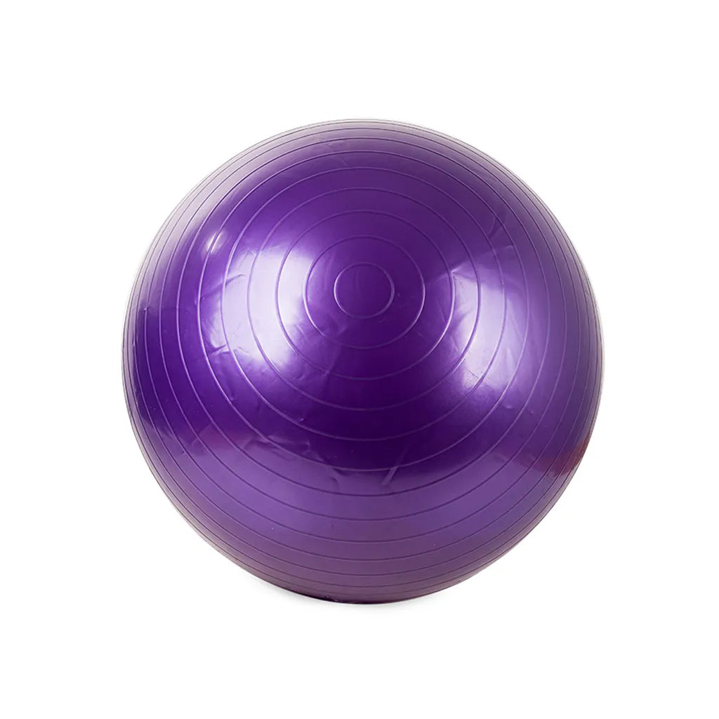 Gimnasztikai rehabilitációs labda pumpával, 65cm, lila