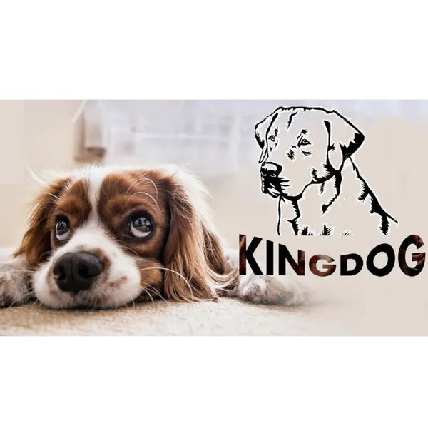 Kingdog kutyafekhely 145x115 szürke-fekete