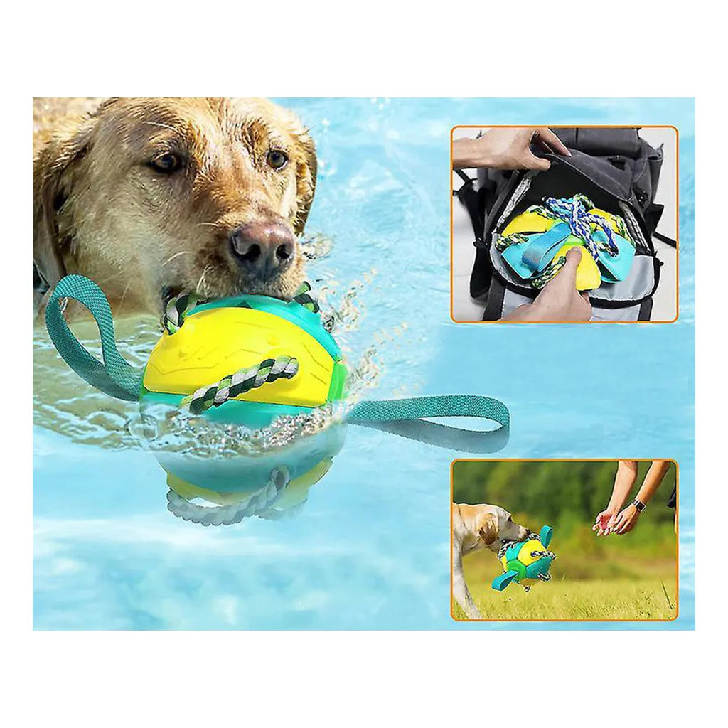 Kutya rágójáték frizbi/labda funkcióval, 14/22 cm, színes